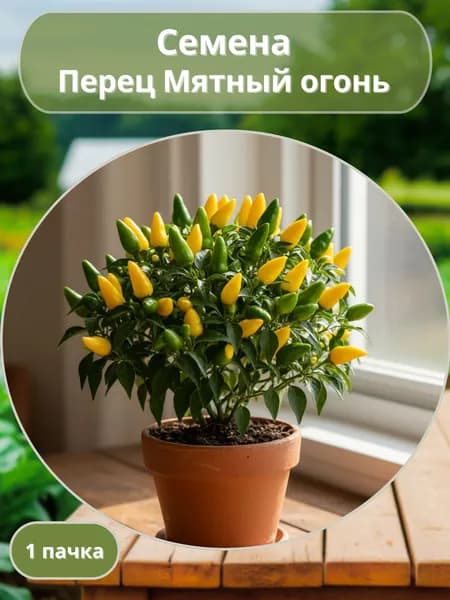 Перец острый Мятный огонь, семена 10 шт