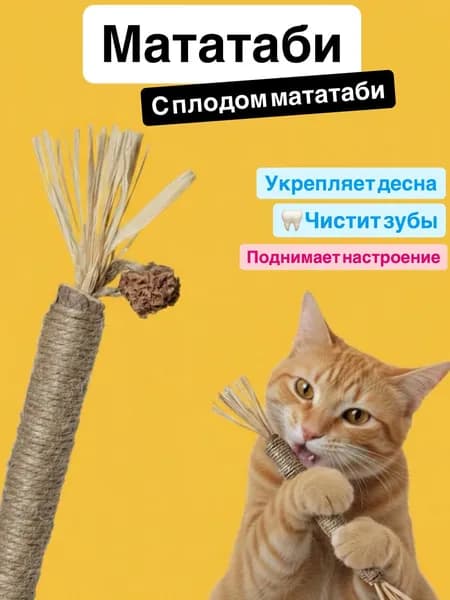 Палочки мататаби для кошек , с плодом мататаби и с кошачьей мятой, игрушка-лакомство для котят с витаминами, 1 шт