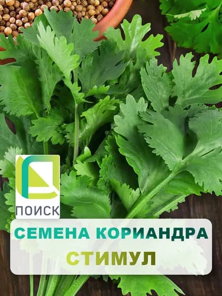 Семена Кориандр овощной "Стимул" 3 гр, для дома, дачи и огорода, на подоконник, травы и пряности, кинза, в контейнер.