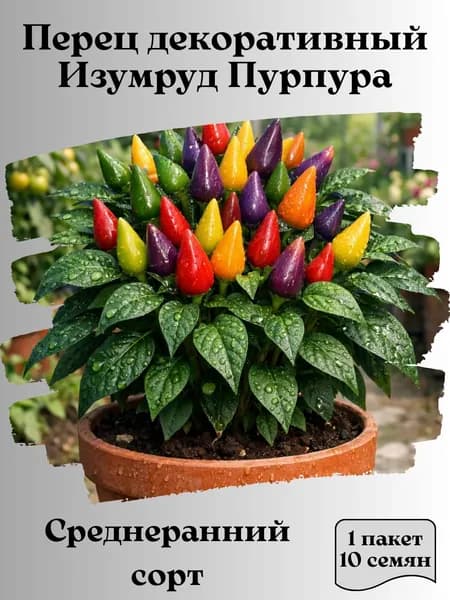 Перец декоративный Изумруд Пурпура, семена, 10 шт.