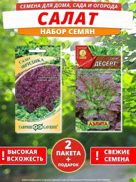 Семена салат для дома сада посадки