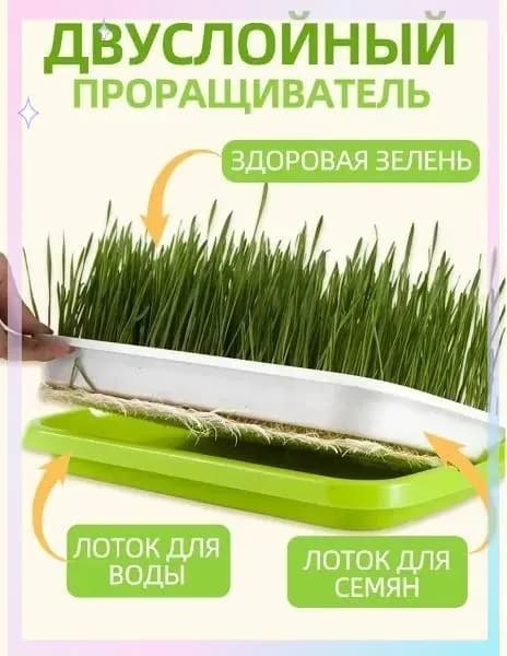 Проращиватель семян 1 шт