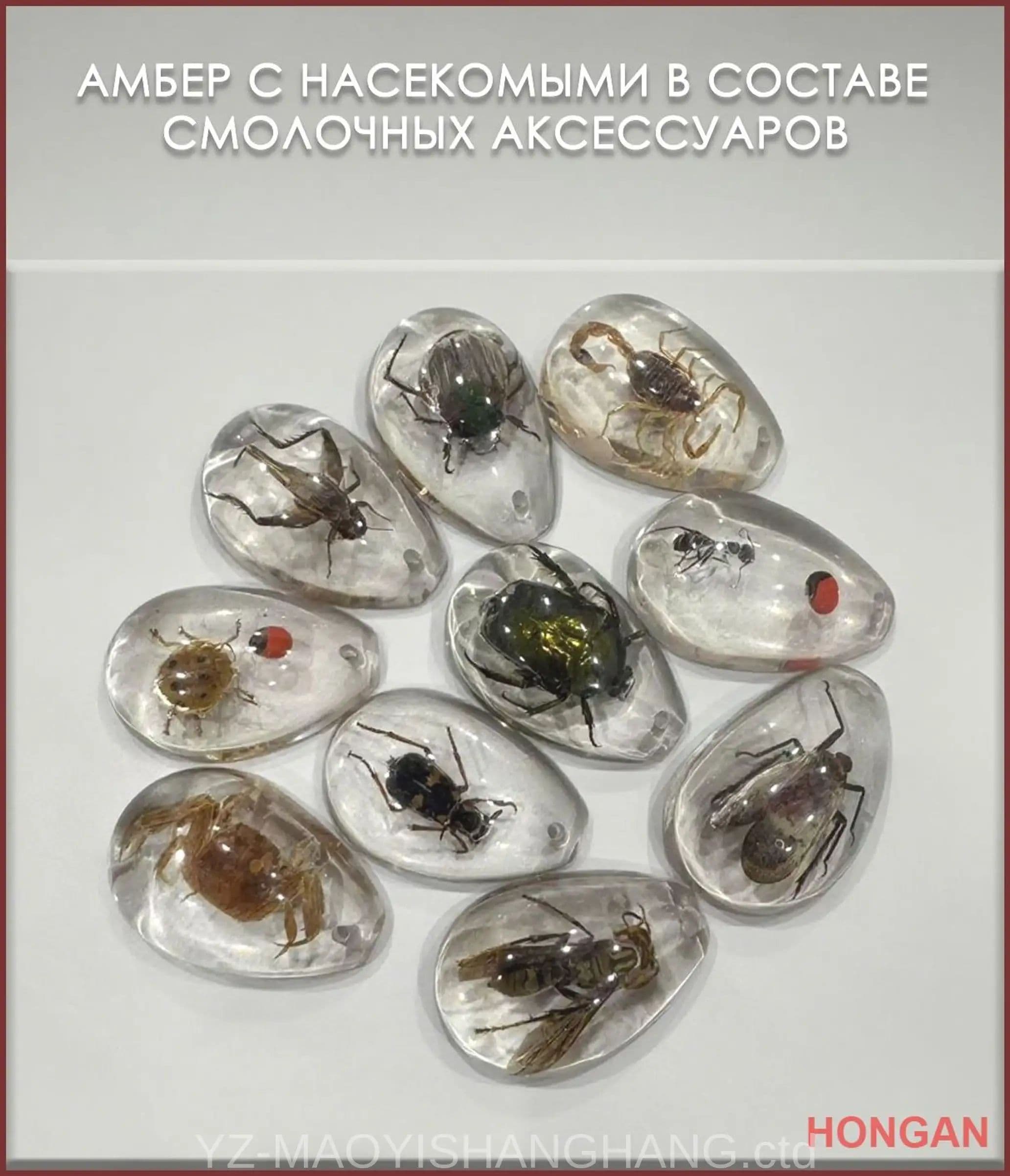Коллекция насекомых