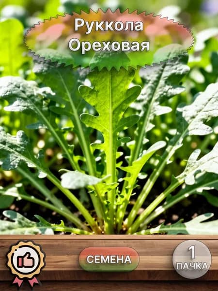 Руккола Ореховая, семена 10 шт.