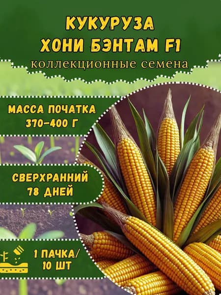 Семена Кукурузы "Хони Бэнтам 78 дней F1", 10 семян