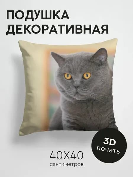 Подушка декоративная, 40x40см Животные британская кошка
