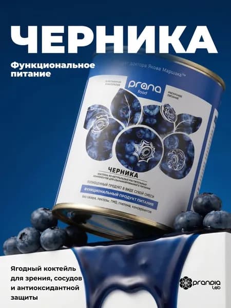 Протеиновый коктейль для похудения PRANA food без сахара, замена приема пищи, с черникой, 300 гр
