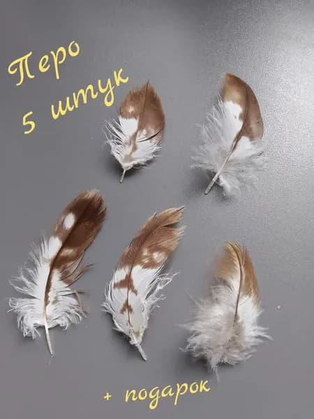 Перья орла Кавказского натуральные 5 штук