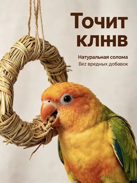 Колечко из соломы для птиц и грызунов