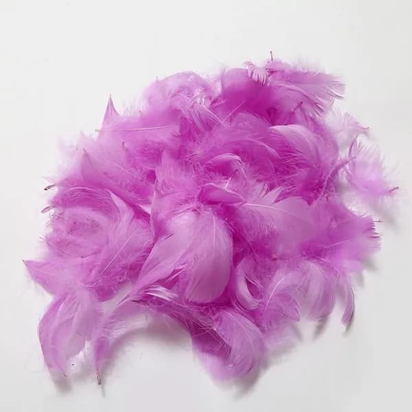 100 ПК / Pack Красочные перья