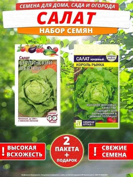 Семена салат для дома сада посадки