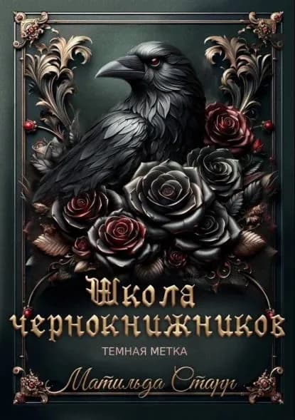 Школа чернокнижников. Тёмная метка | Старр Матильда | Электронная книга