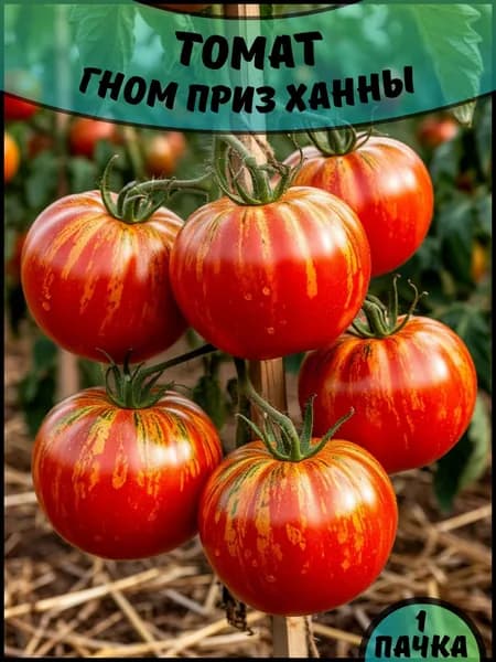 Коллекционные семена томата Гном Приз Ханны, семена 1 пачка