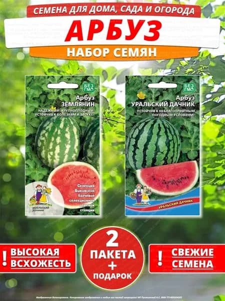 Семена арбуз для дома сада посадки