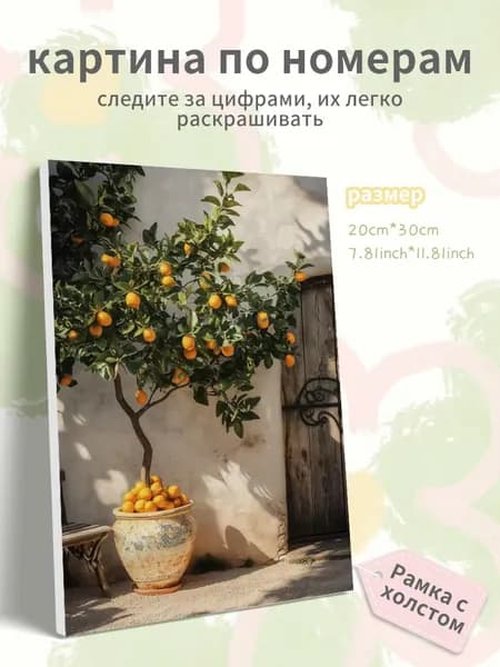 Картина по номерам на холсте с подрамником 20х30 "Растение в горшке с кумкватовым деревом"