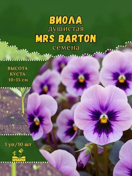 Виола душистая "Mrs Barton" семена, 1 пачка