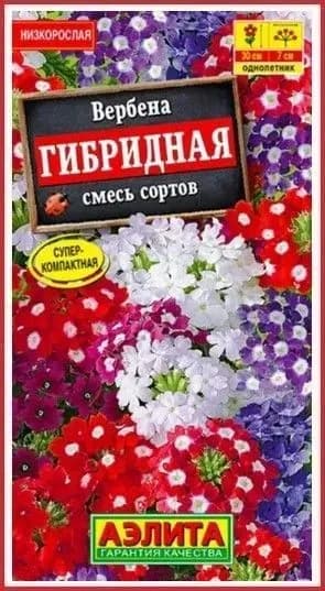 Вербена "Гибридная" смесь сортов, семена цветов Аэлита для балкона,сада и огорода, 40 шт