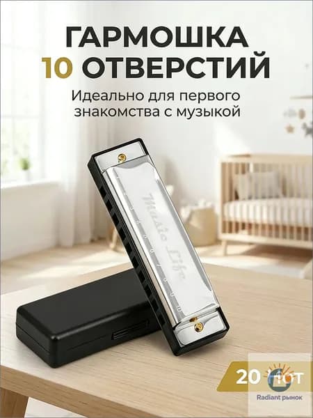 Детская губная гармошка диатоническая С мажор 10 отверстий, металл/пластик с футляром, развивающая музыкальная игрушка от 3 лет