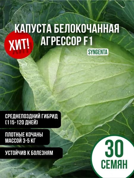 Капуста б/к Агрессор F1 30 семян, Syngenta (Швейцария)