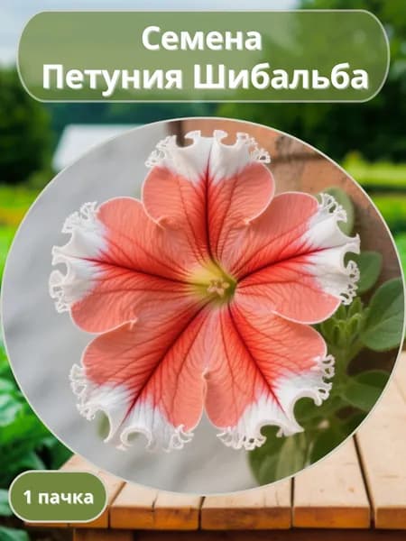 Петуния Шибальба, семена 10 шт