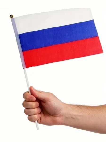 Флаг РОССИИ, 6 штук, 14х21 см, ручной, на палочке. Набор маленьких флажков Россия
