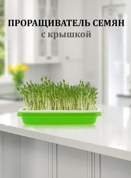 Проращиватель семян 1 шт