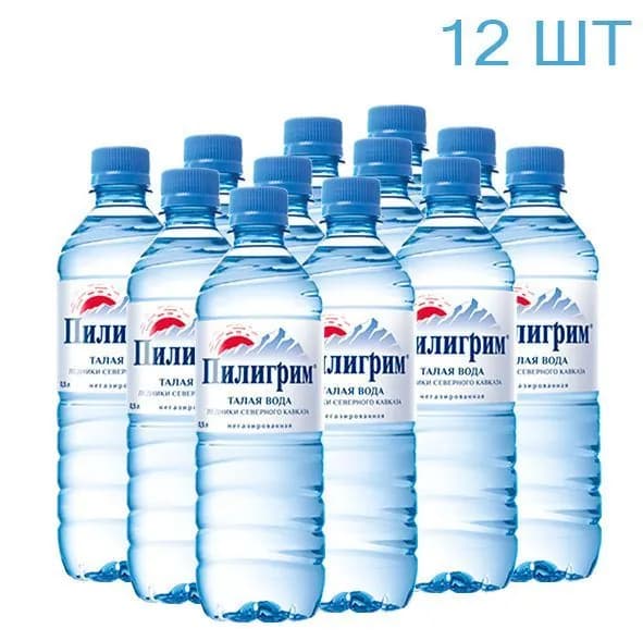 Пилигрим негаз 0,5л./12шт. Пэт