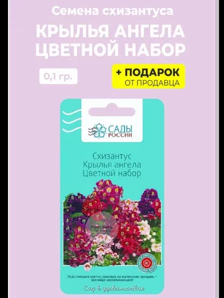 Семена Схизантус Крылья ангела Цветной набор