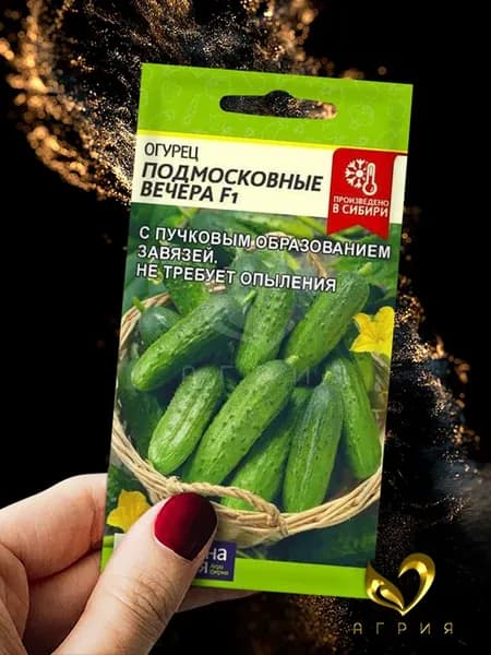 Семена Огурец Подмосковные Вечера F1 (5 сем.)
