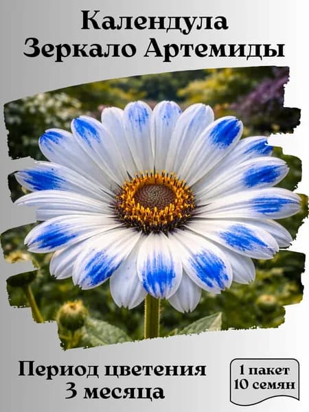 Календула Зеркало Артемиды, семена, 10 шт.