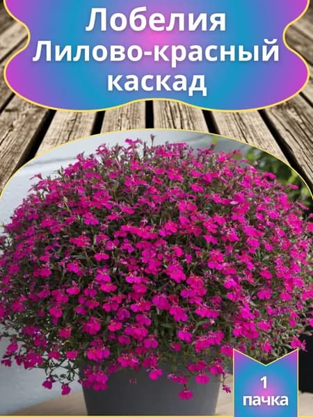 Лобелия ампельная "Лилово-красный каскад"(семена)