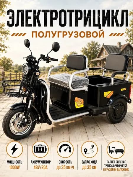 Грузовой электрический трицикл Экстрим 60/25А 1000 Вт