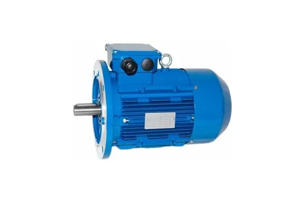 Электродвигатель 5АИ 100 S4 3/1500 IM 3081 01.01.213507