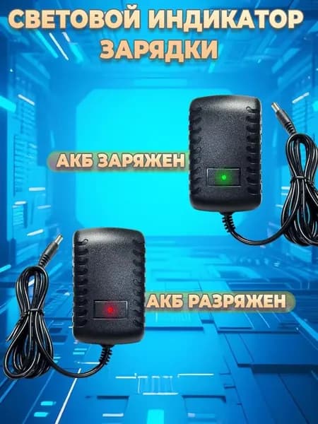 Зарядное устройство для детского электромобиля 12V 1000 mA ; 12 Вольт 1000 миллиампер с индикатором LED