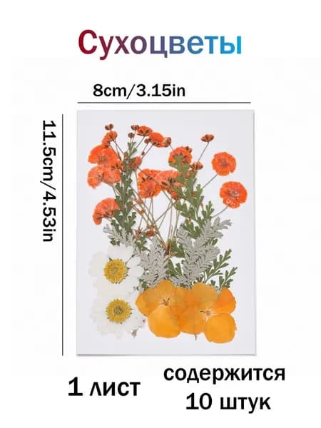 Сухоцветы, 11 гр, 1 шт