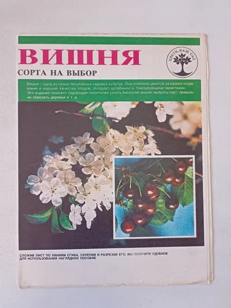 Вишня. Сорта на выбор