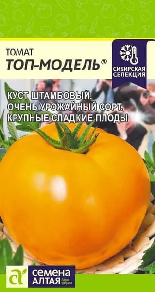 Томат Топ-модель. Семена Алтая. Цвет! Форма! Вкус! Высокая урожайность! Кусты усыпаны плодами!