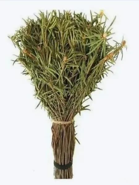 Веник для бани Из багульника, 1 шт.