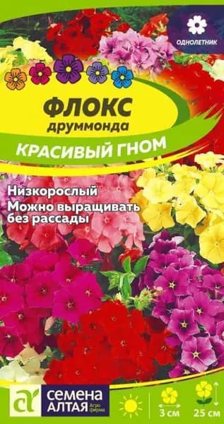 Семена Флокс Красивый гном (0,2 гр) - Семена Алтая