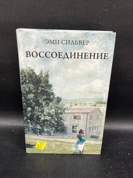Серия: Must Read - Прочесть всем. Воссоединение. Роман | Сильвер Эми