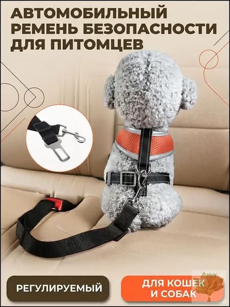Ремень безопасности для собак в машину