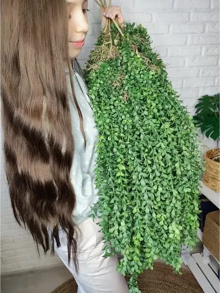 Растение искусственное