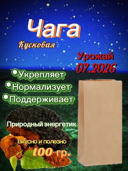 Чага кусковая натуральная вес 100гр.