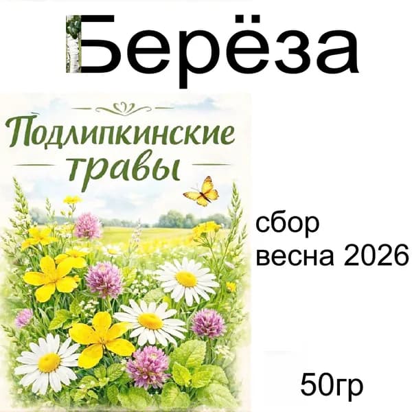 Лист Берёзы, высушенный для домашнего ухода, для домашней косметики, 1 шт.
