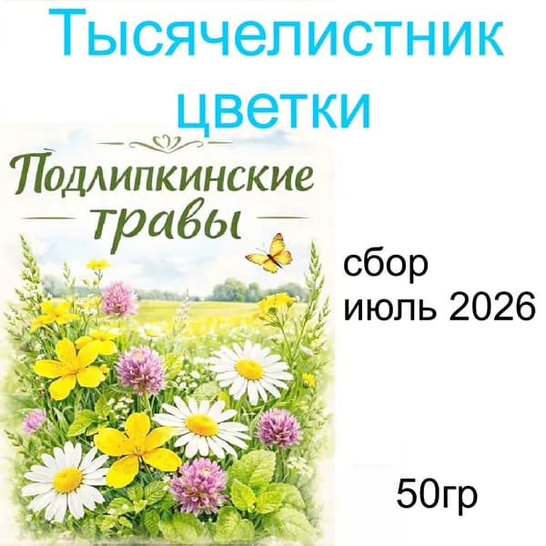 Тысячелистник цветки сушеные для домашнего применения, 50 гр.