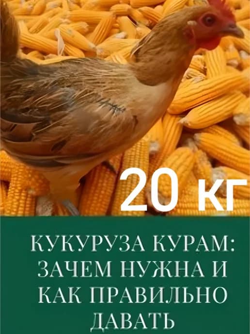 Кукуруза кормовая