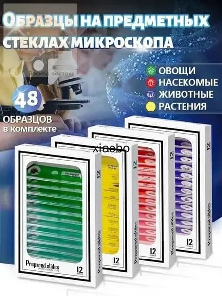 48шт Подготовленных образцов предметных стекол микроскопа;Подарки для детей.