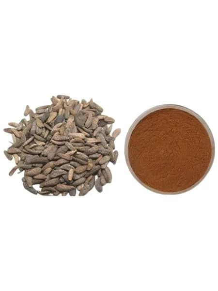 Экстракт плодов лопуха Arctii Fructus Extract 200 г