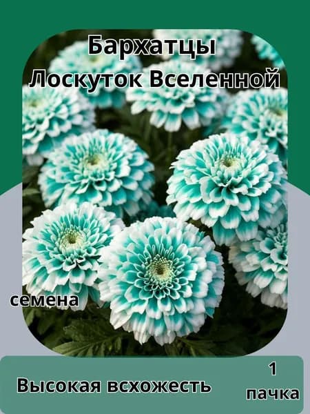 Бархатцы ЛоскутокВселенной, семена 10шт