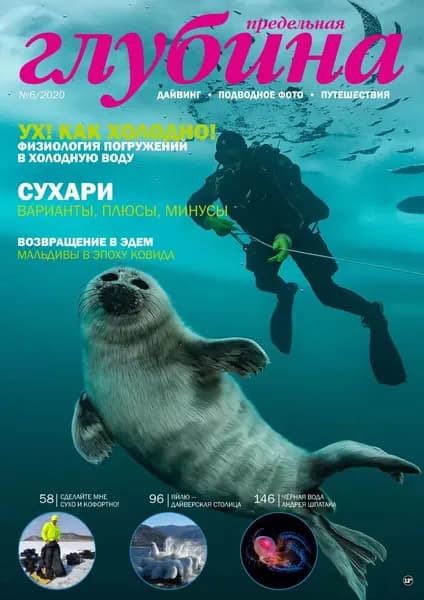 Предельная Глубина No6/2020 | Электронная книга